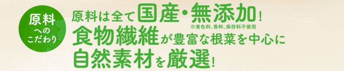 いちずな酵素格安情報